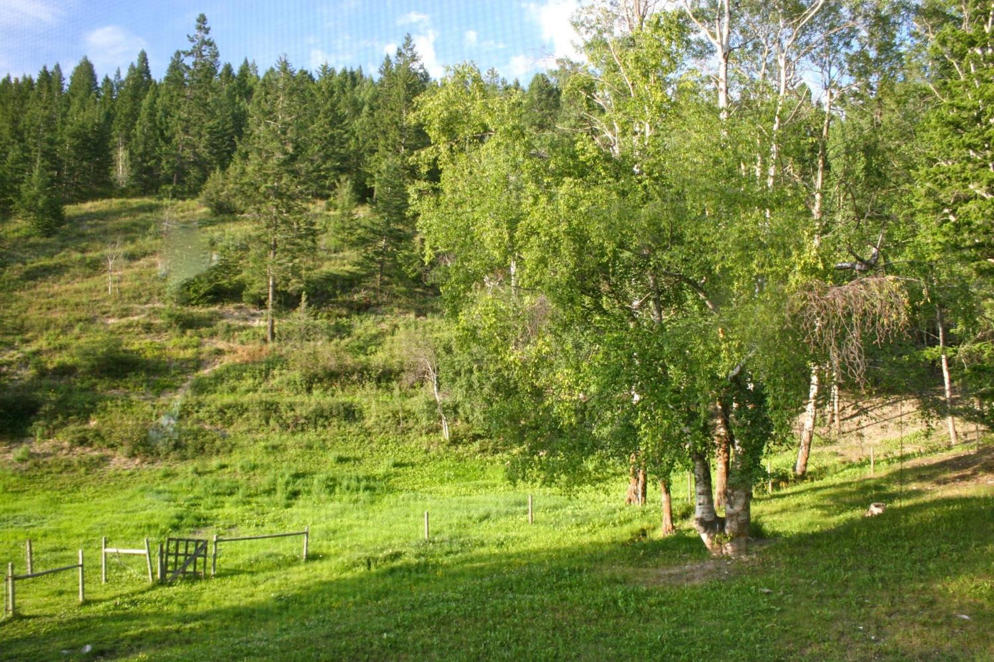 Dunphy'S Bed And Breakfast Parson Экстерьер фото